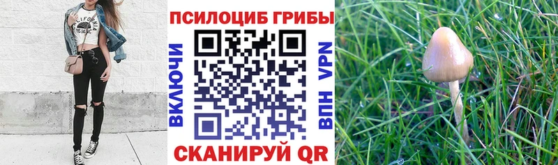 Псилоцибиновые грибы мухоморы  Богучар 